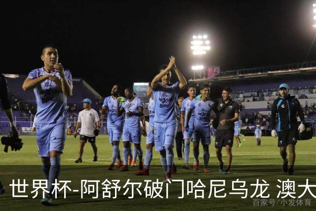 世界杯-阿舒尔破门哈尼乌龙 澳大利亚1-1埃及进加时